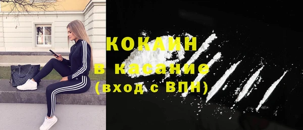ешки Алексин