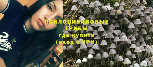 стаф Абаза