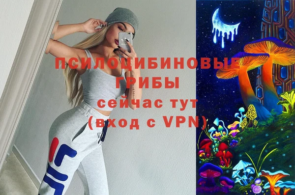шишки Алзамай